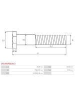 Indítómotor szolenoidok fix érintkezői - SP1006P(BULK)